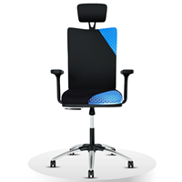 ErgoSmart by The Sleep Company - Plus Orthopedic Office Chair | Patented SmartGRID Technology | Adjustable Lumbar Support for Ergonomic Sitting Posture | Multiple Adjustments Mechanism | Black (Onyx)